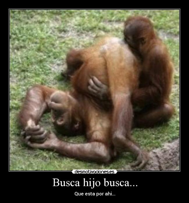 Busca hijo busca... - Que esta por ahi...