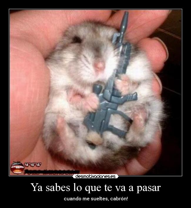 Ya sabes lo que te va a pasar -