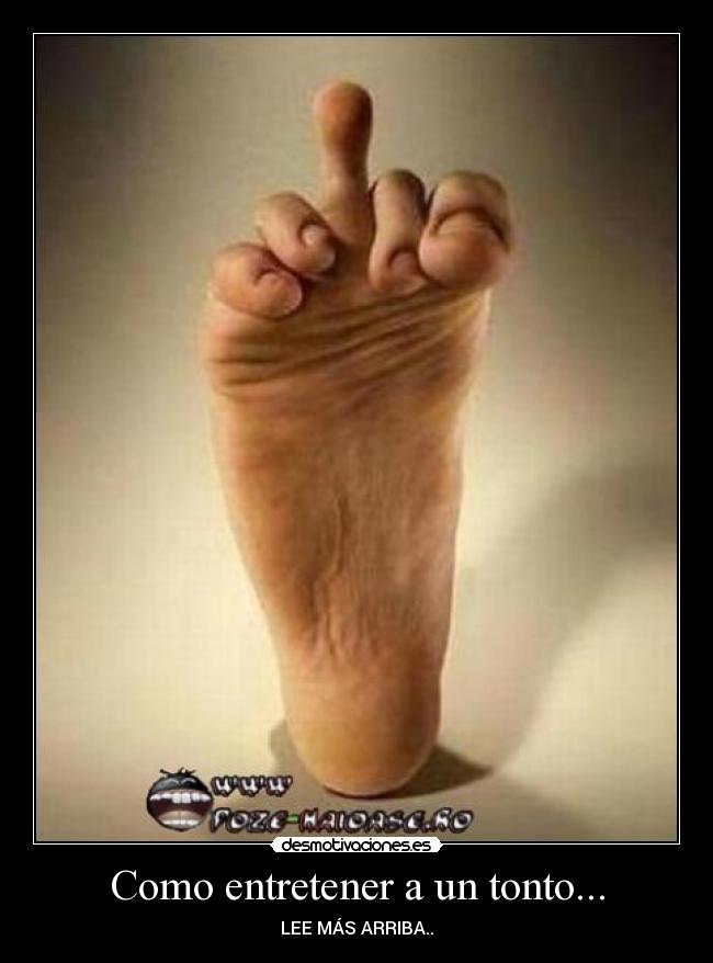 carteles tonto soytete desmotivaciones