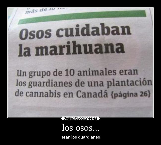 los osos... - eran los guardianes