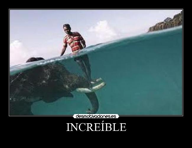 INCREÍBLE -