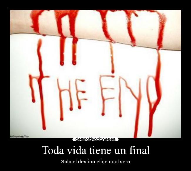 carteles vida toda vida tiene final destino elige cual desmotivaciones