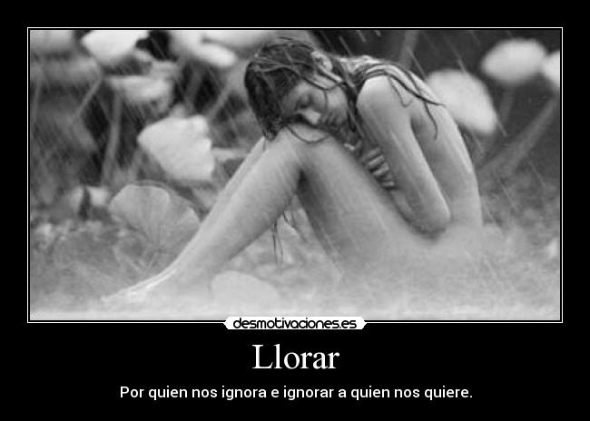 carteles llorar gesabel desmotivaciones