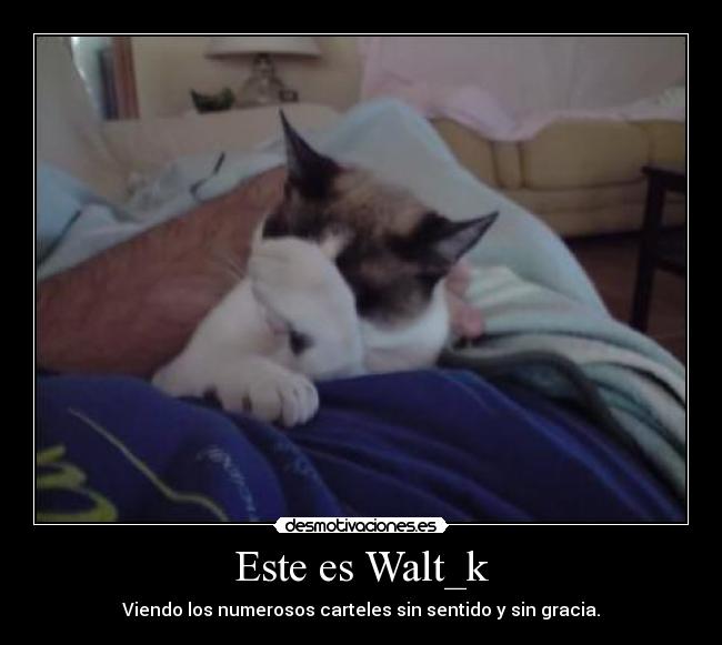 Este es Walt_k -