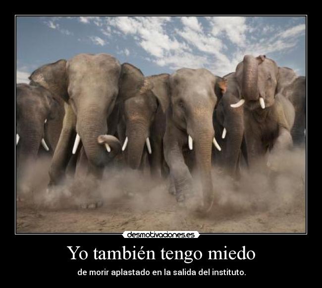 Yo también tengo miedo - de morir aplastado en la salida del instituto.