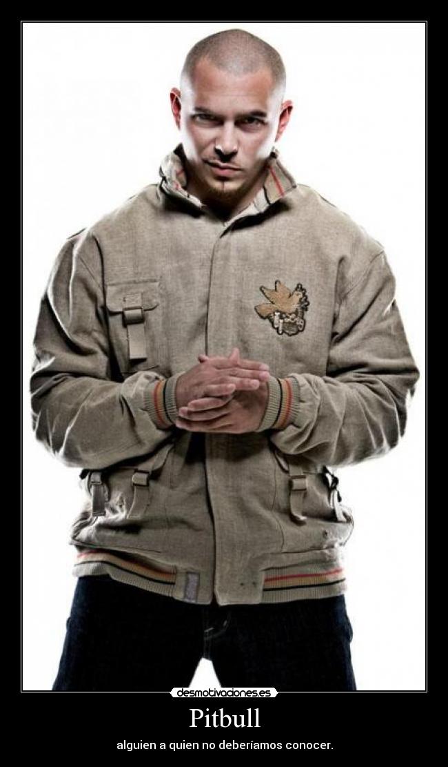 Pitbull -