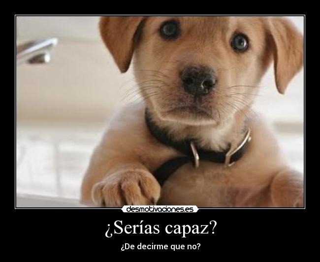 ¿Serías capaz? -