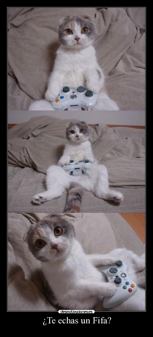 ¿Te echas un Fifa? -