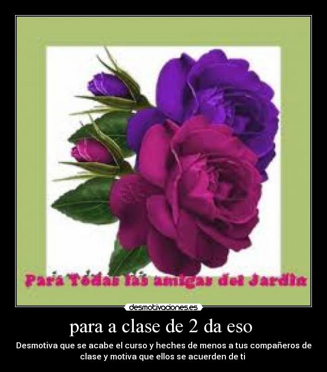 carteles para mis amigos gallegos desmotivaciones