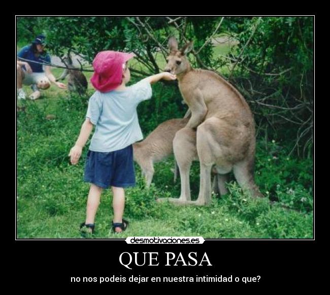 QUE PASA - no nos podeis dejar en nuestra intimidad o que?