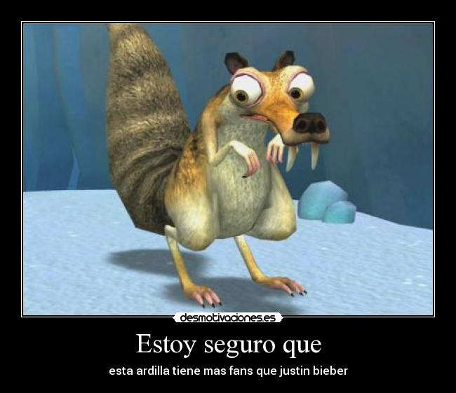 Estoy seguro que - esta ardilla tiene mas fans que justin bieber