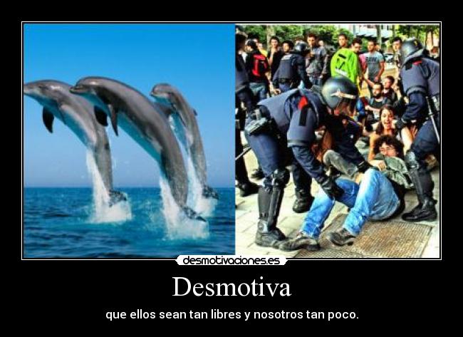 Desmotiva - que ellos sean tan libres y nosotros tan poco.