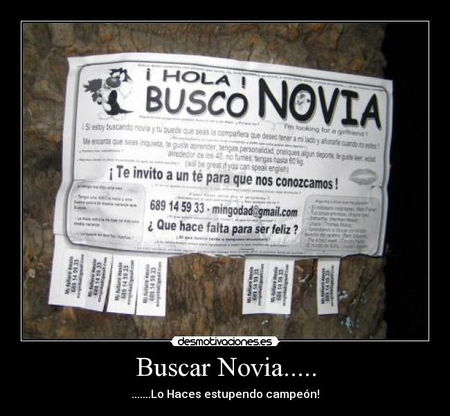 Buscar Novia..... - .......Lo Haces estupendo campeón!