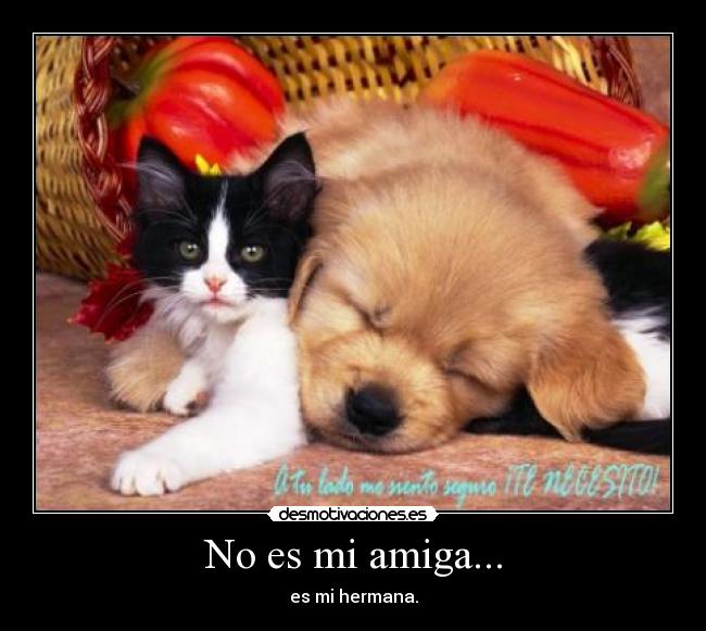 No es mi amiga... - es mi hermana.