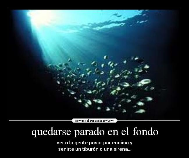 quedarse parado en el fondo -  ver a la gente pasar por encima y 
senirte un tiburón o una sirena...