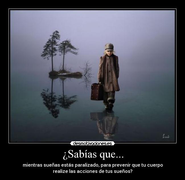 ¿Sabías que... - 