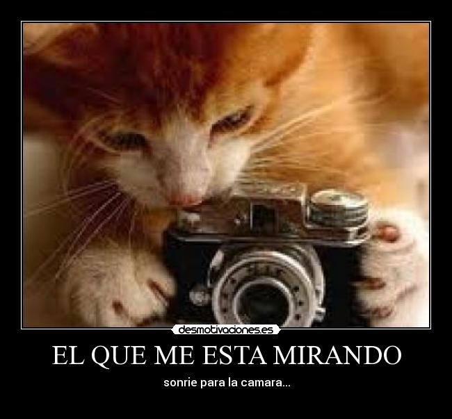 EL QUE ME ESTA MIRANDO - sonrie para la camara...