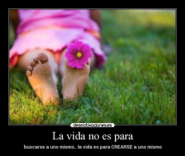 carteles vida vida buscar crear desmotivaciones
