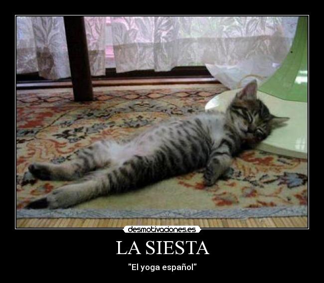 LA SIESTA - El yoga español