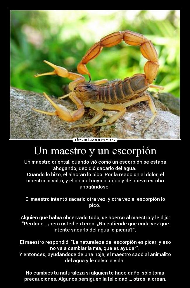 carteles escorpion ayuda maestro historia vida desmotivaciones