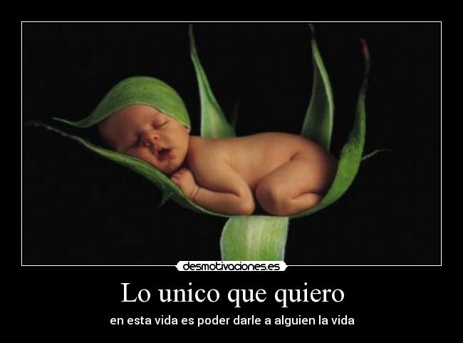 Lo unico que quiero - 