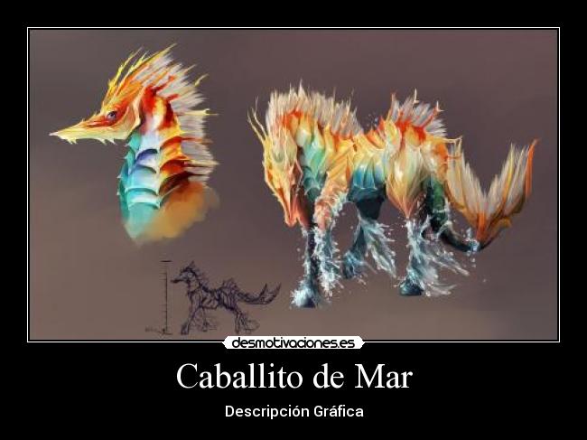 Caballito de Mar -