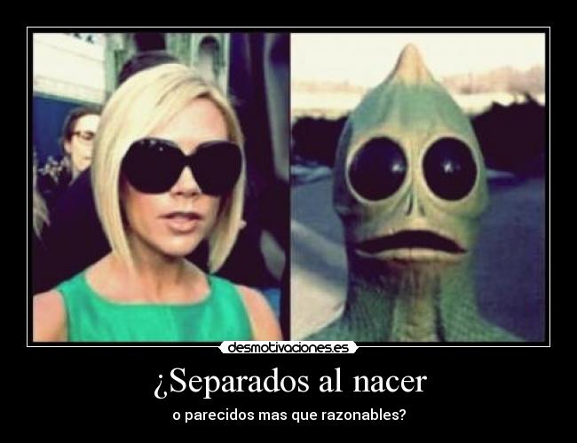 ¿Separados al nacer -