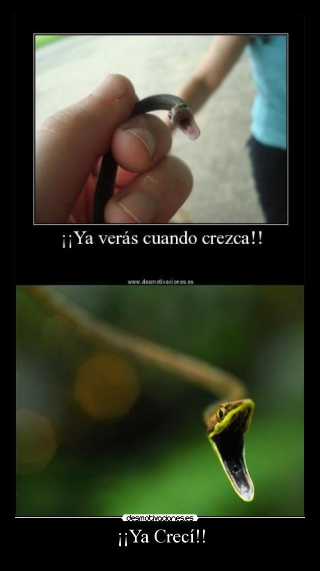 carteles creci desmotivaciones