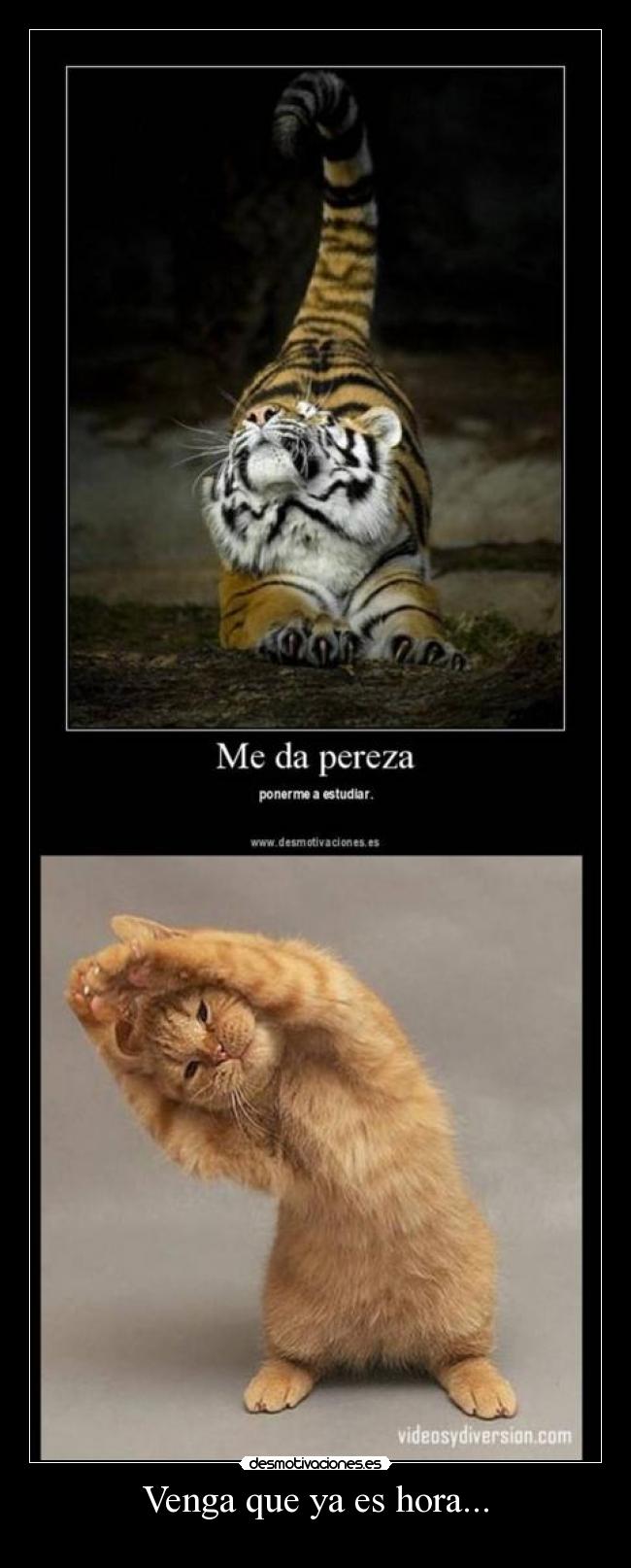 Venga que ya es hora... -