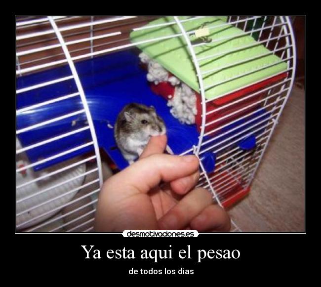 Ya esta aqui el pesao -