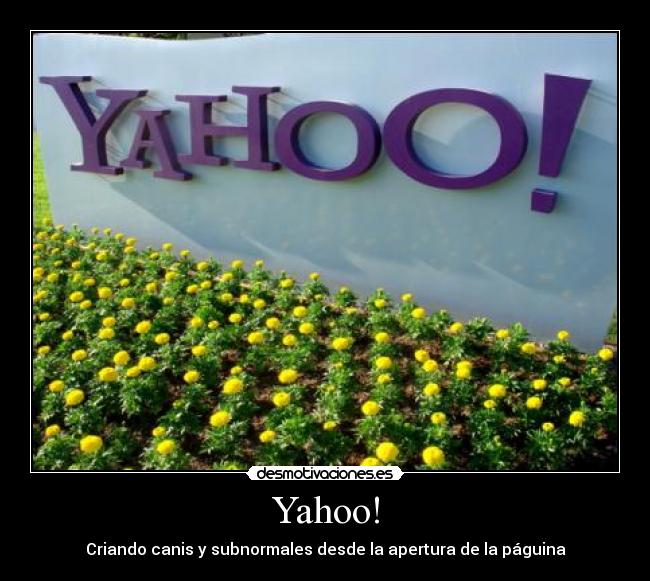 carteles yahoo canis subnormales desmotivaciones