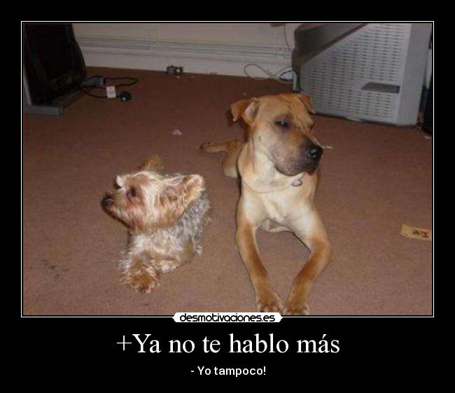+Ya no te hablo más - 