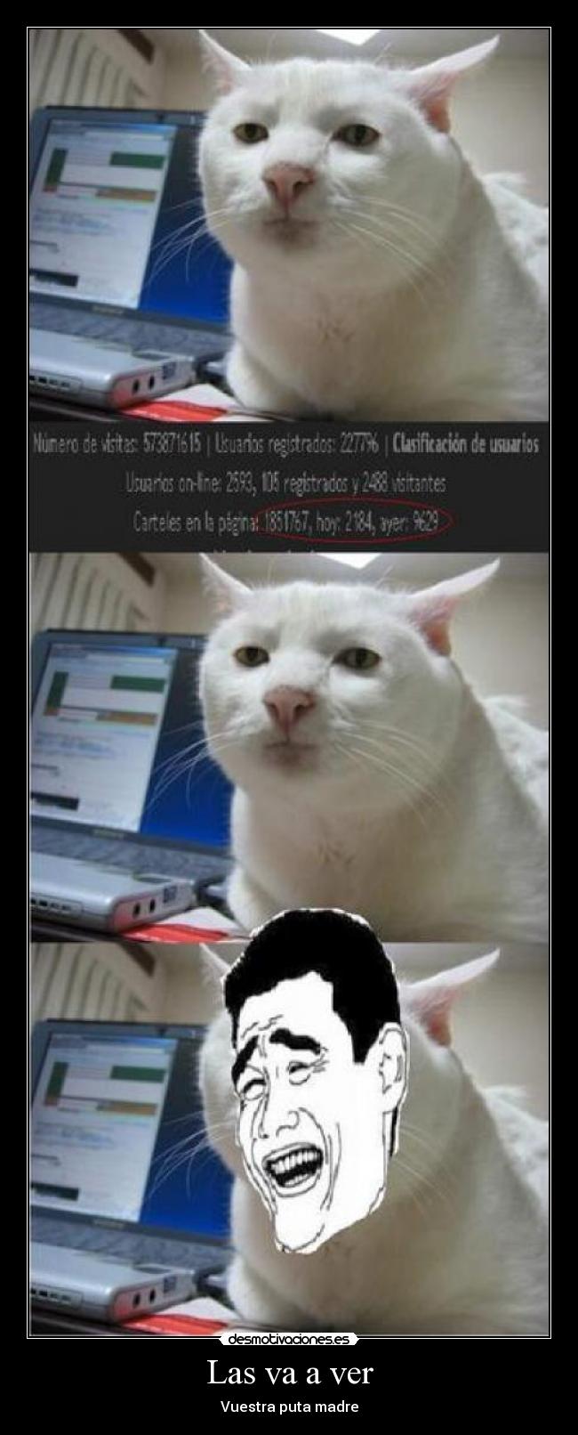 Las va a ver - Vuestra puta madre