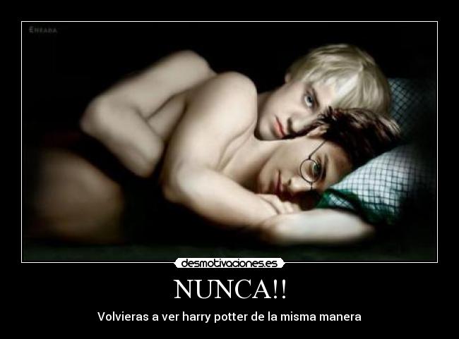 NUNCA!! - Volvieras a ver harry potter de la misma manera