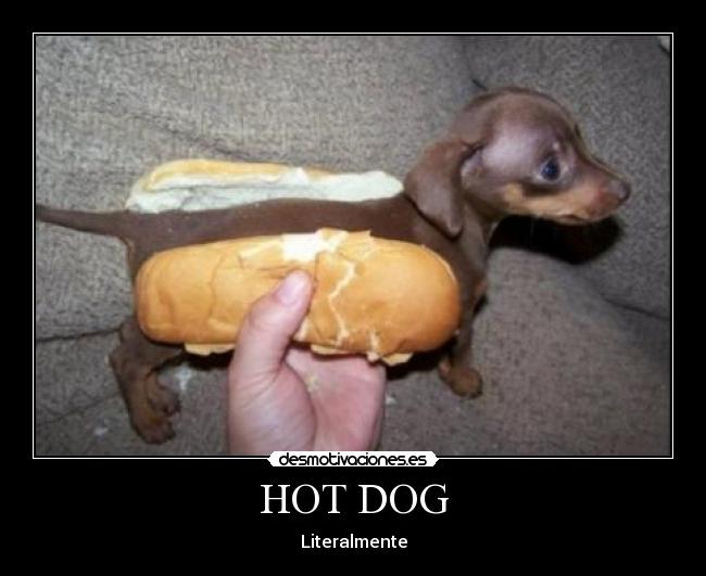 HOT DOG -