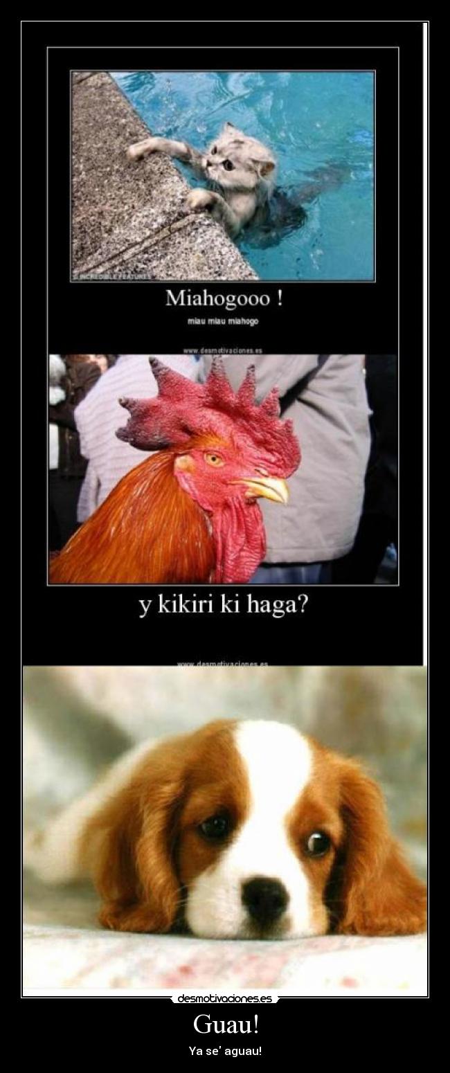 carteles perro ahogado guau desmotivaciones
