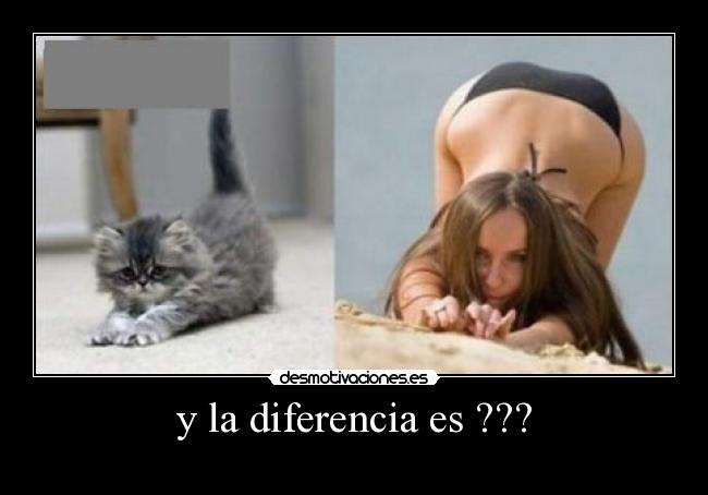 y la diferencia es ??? -