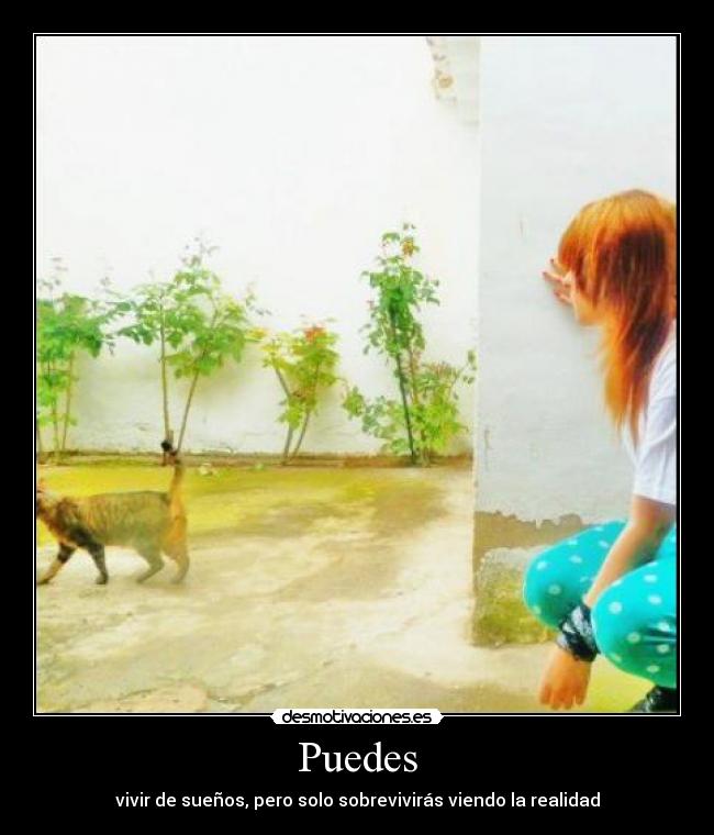 Puedes - vivir de sueños, pero solo sobrevivirás viendo la realidad