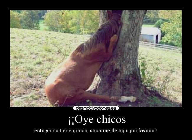 ¡¡Oye chicos - esto ya no tiene gracia, sacarme de aquí por favooor!!