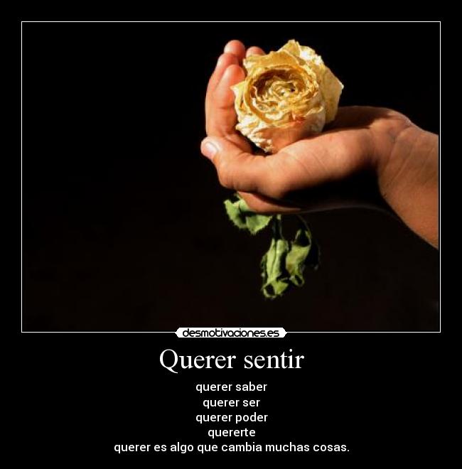 Querer sentir - querer saber
querer ser
querer poder
quererte
querer es algo que cambia muchas cosas.