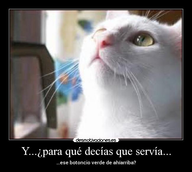 Y...¿para qué decías que servía... - 