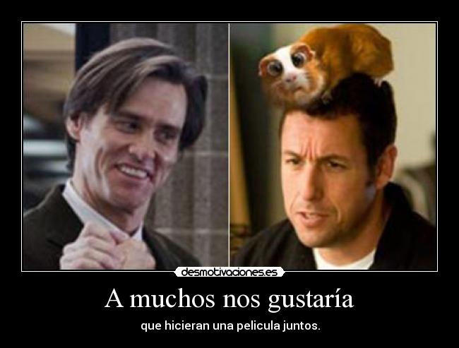 carteles muchos nos gustaria que hicieran una pelicula juntos adam sandler jim carrey desmotivaciones