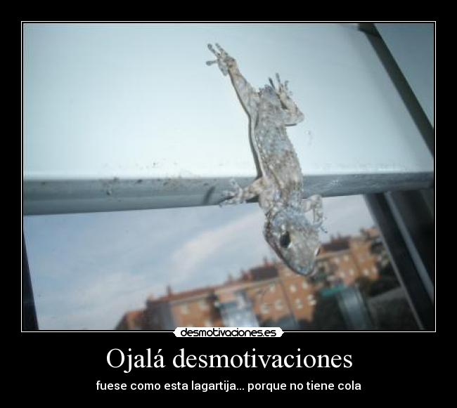 Ojalá desmotivaciones - fuese como esta lagartija... porque no tiene cola