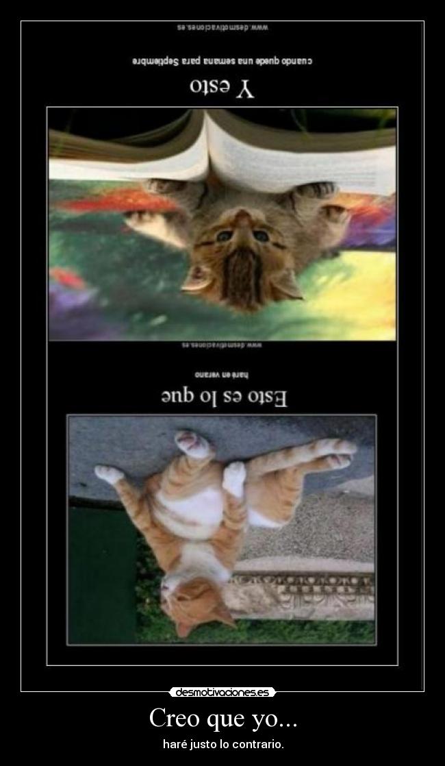 Creo que yo... - haré justo lo contrario.