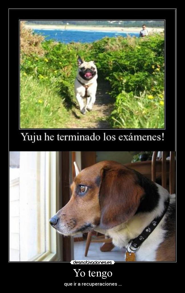 Yo tengo - que ir a recuperaciones ...