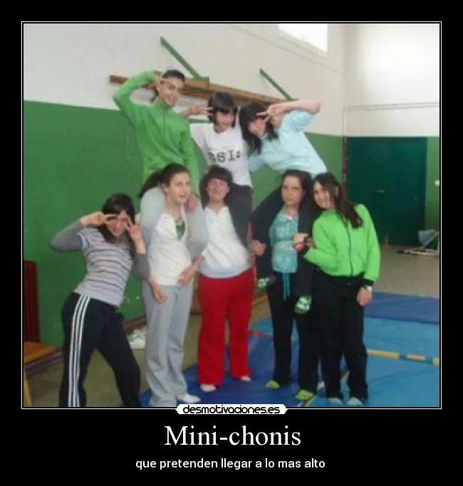 carteles mini-chonis desmotivaciones