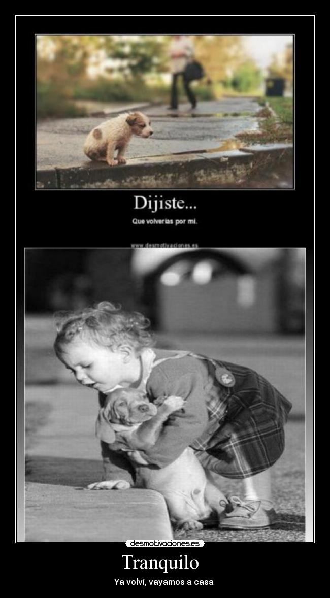 Tranquilo - Ya volví, vayamos a casa