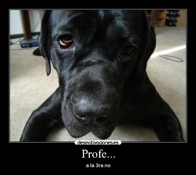 Profe... - a la 3ra no
