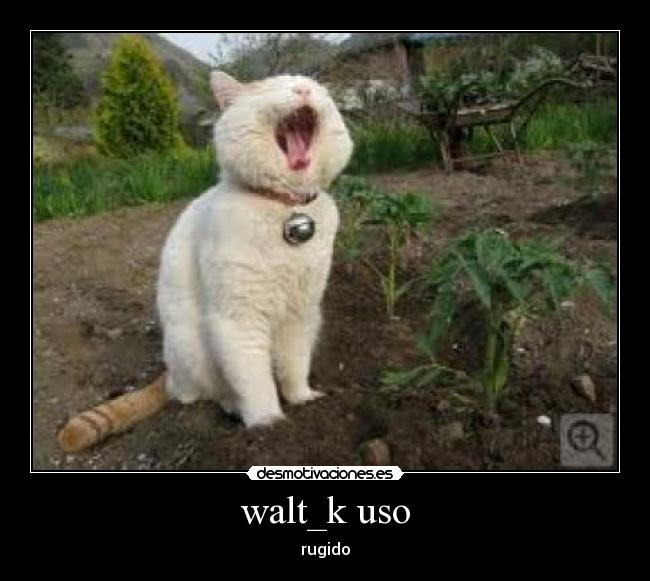 walt_k uso - rugido