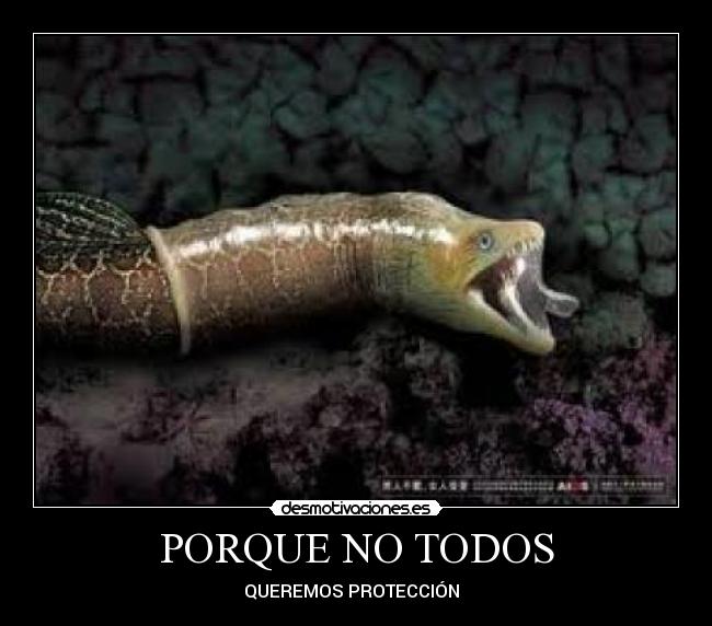 carteles porque todos desmotivaciones